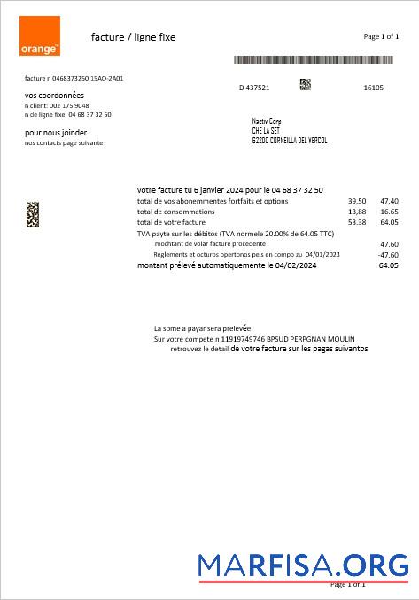 Realistic France Orange business utility bill template in Word and PDF formats1
